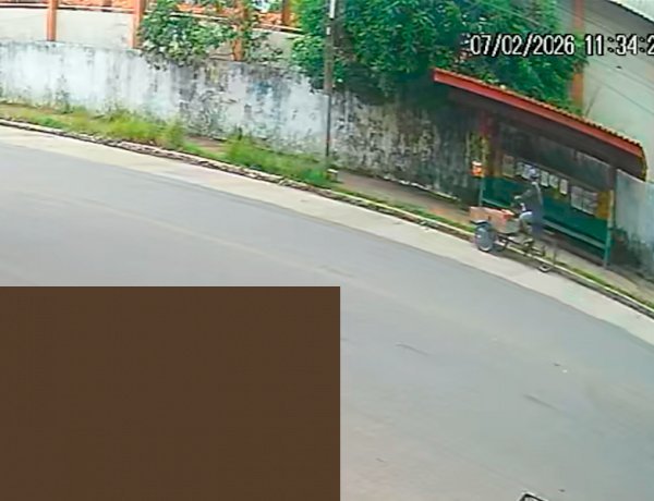 Homem abandona quatro filhotes de cachorro em parada de ônibus no Centro e foge