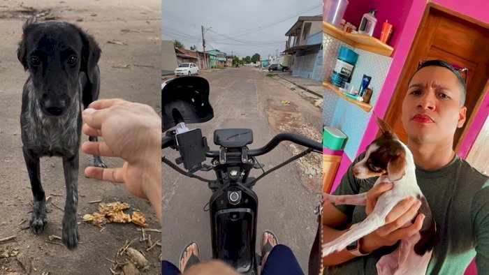 Jovem percorre ruas de Macapá levando alimento e esperança a animais abandonados